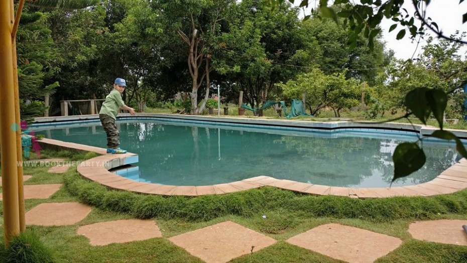 Dew Drop Party Farms for 25 Guests - 12 hours