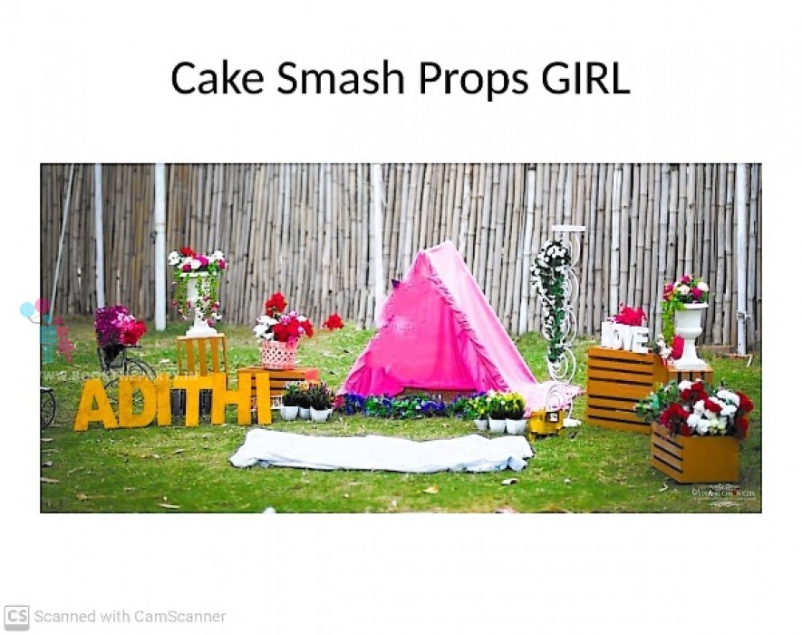 Cake Smash for Girl 