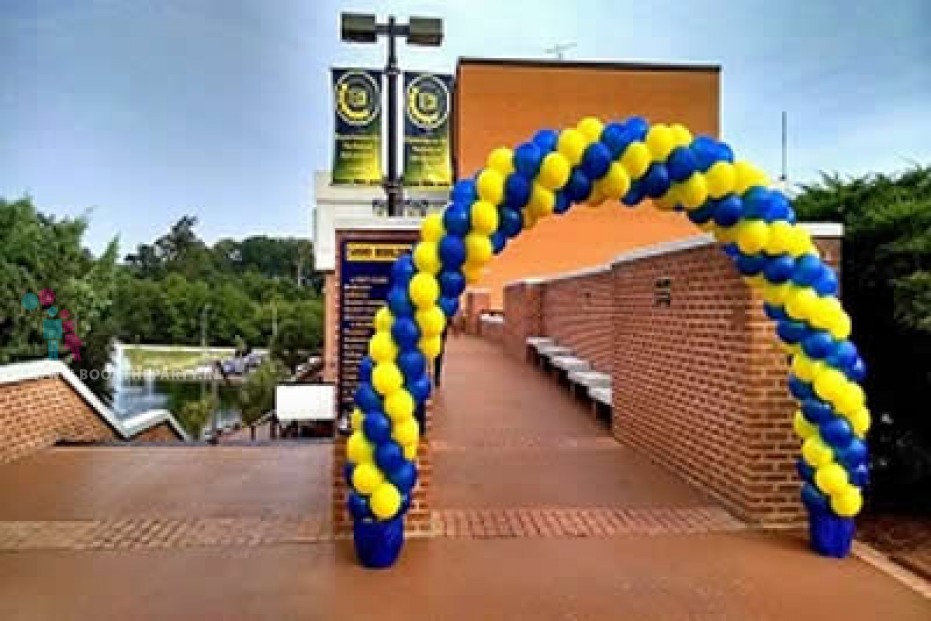 Minions Theme with Balloon Wall 