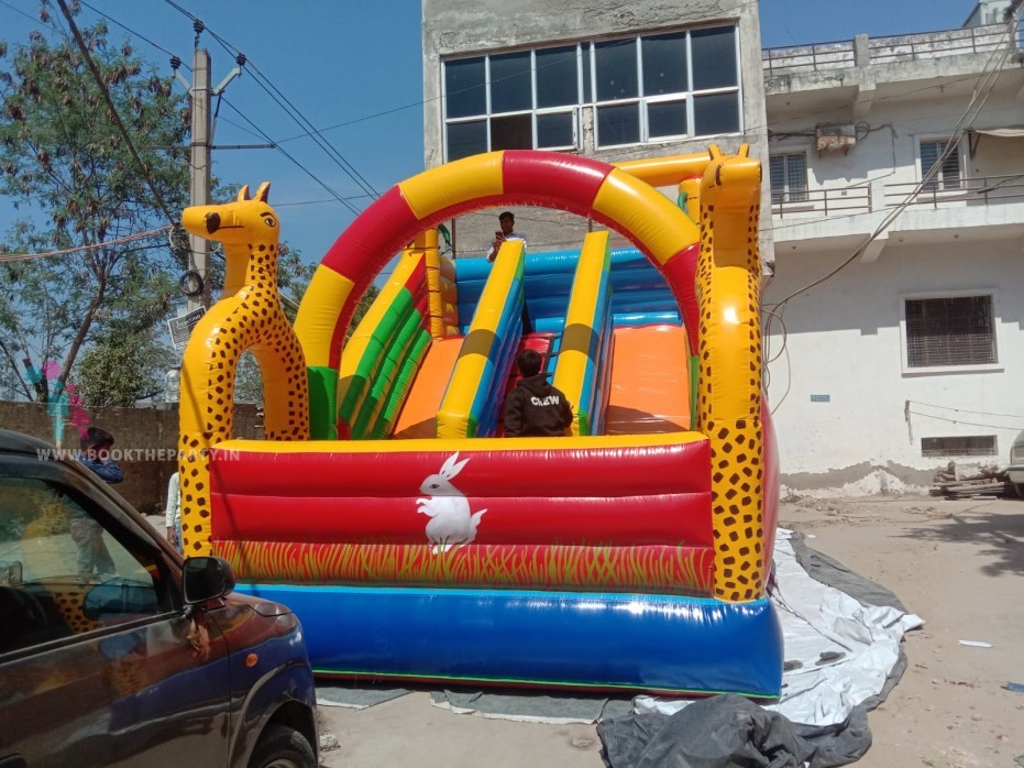 Giraffe Bouncy with Slider 12*18