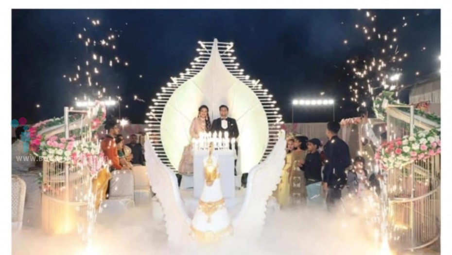 Wedding swan entry concept vehcle with Lighting effect