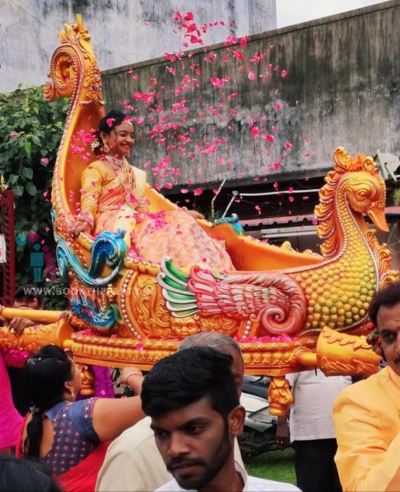 Peacock Pallaki with Designs 